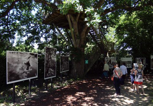 Iconographie - Exposition photo en plein air