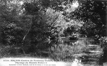 Iconographie - Paysage du Marais Poitevin