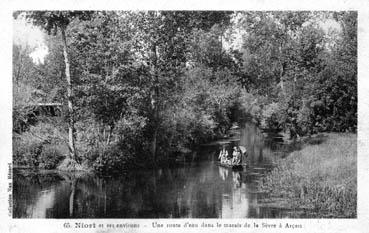 Iconographie - Une route d'eau dans le marais de la Sèvre