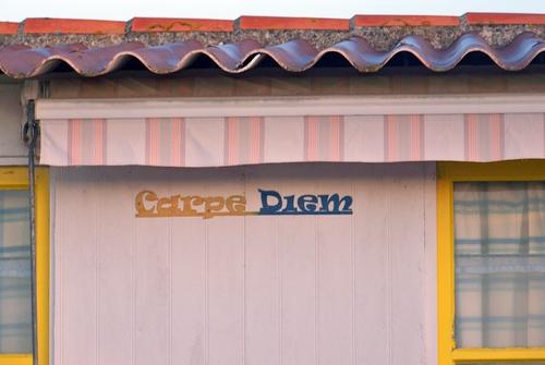 Iconographie - Cabane, Carpe diem 