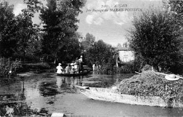 Iconographie - Joli paysage du Marais-Poitevin