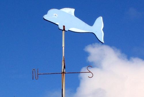 Iconographie - Girouette, La Baleine bleue