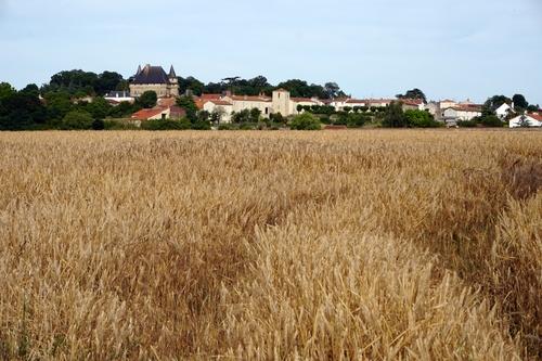 Iconographie - Vue sur le bourg