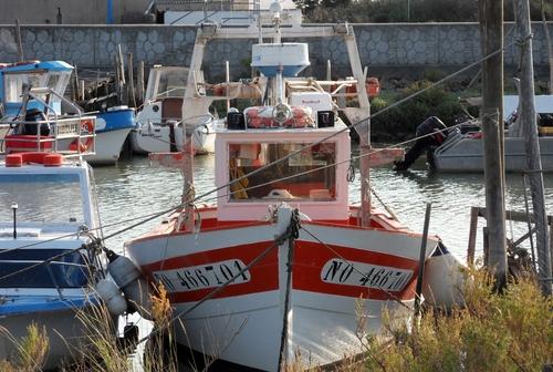 Iconographie - Le port du Bec