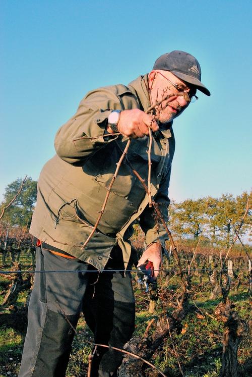 Iconographie - Taille de la vigne à La Fiolière