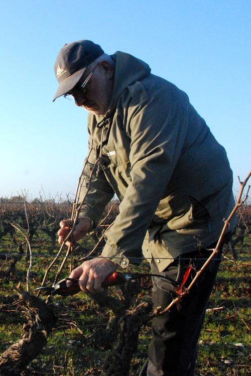 Iconographie - Taille de la vigne à La Fiolière