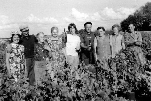 Iconographie - Les vendanges familles Bizet et Le Hérisson