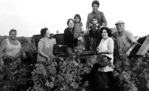 Iconographie - Vendangeurs chez Lefort, au Bois-Bonnin