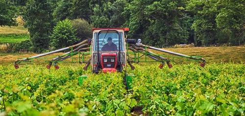 Iconographie - Tracteur enjambeur en cours de traitement