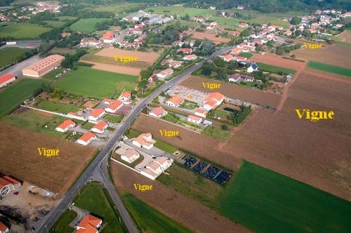 Iconographie - Vue aérienne des vignes autour de la rue Lejeune en 2005 