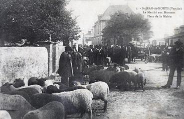 Iconographie - Le marché aux moutons - Place de la Mairie