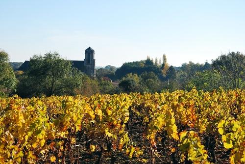 Iconographie - Vigne près du château d'eau