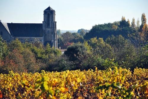 Iconographie - Vigne près du château d'eau