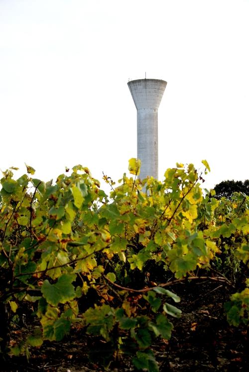 Iconographie - Vigne près du château d'eau