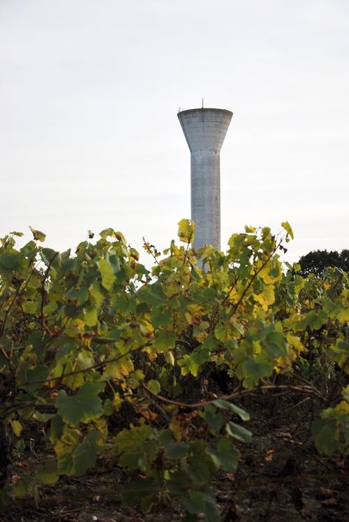 Iconographie - Vigne près du château d'eau