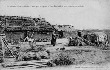 Iconographie - Vue pittoresque d'une bourrine sur la route du Gois