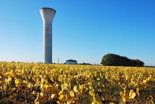 Iconographie - Les vignes près du château d'eau à l'automne