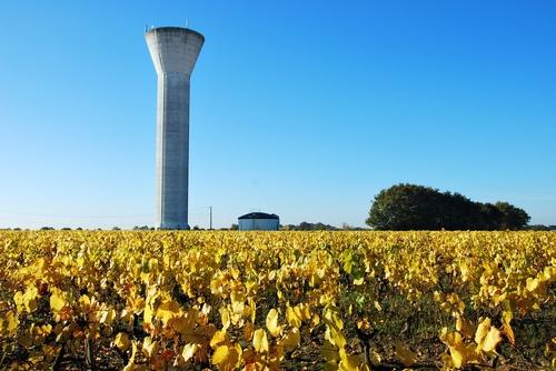 Iconographie - Les vignes près du château d'eau à l'automne