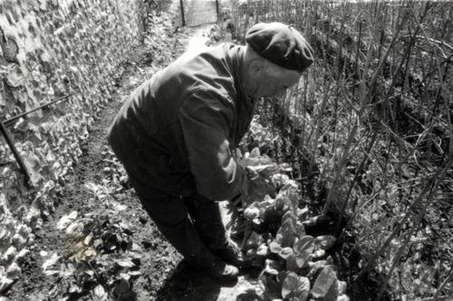 Iconographie - Homme  dans son jardin