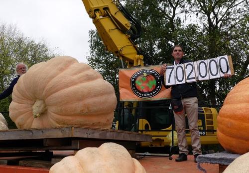 Iconographie - Le potiron battant le précédent record de France, avec 702 kg