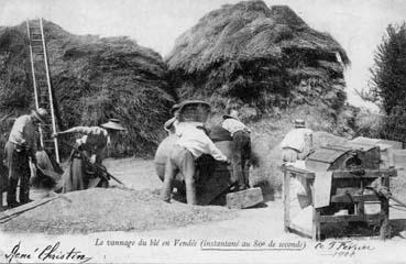 Iconographie - Vannage du blé en Vendée