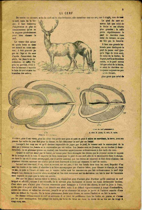 Partition - De la chasse à courre - Le cerf