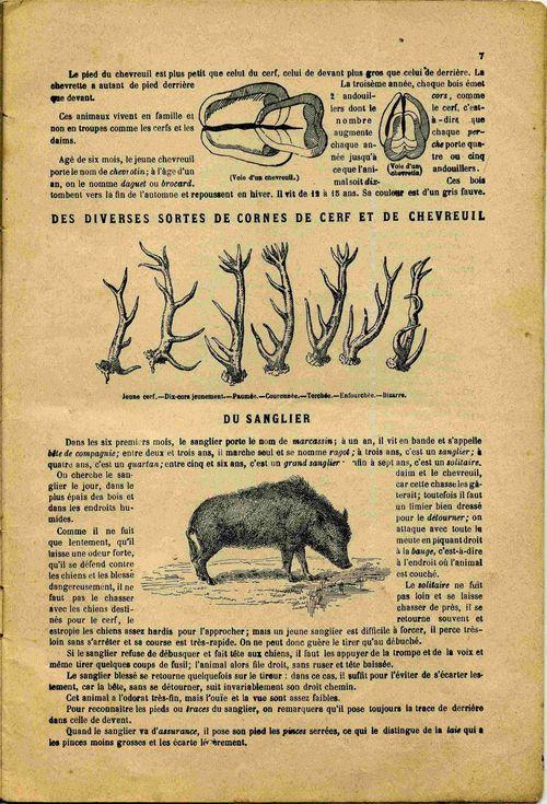 Partition - De la chasse à courre - Des diverses formes de cornes de cerf et de chevreuil - Du sanglier