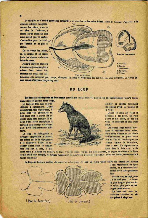 Partition - De la chasse à courre - Du loup