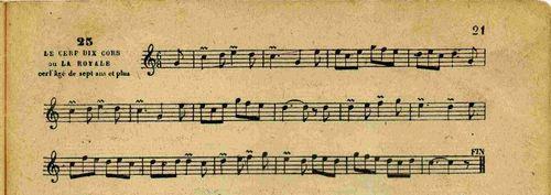Partition - Cerf dix cors (Le) ou la royale - N°25