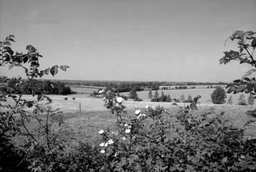 Iconographie - Vue de bocage en mai