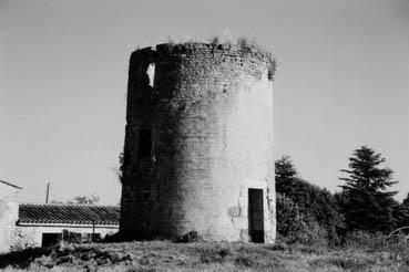 Iconographie - Tronc d'un moulin, chemin de Petosse