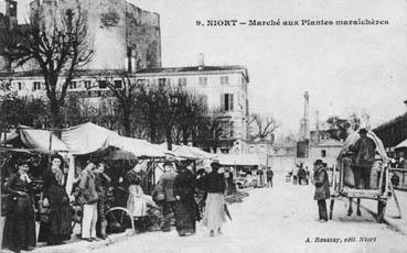 Iconographie - Marché aux plantes maraîchères