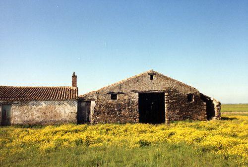 Iconographie - La ferme L'Abbaye