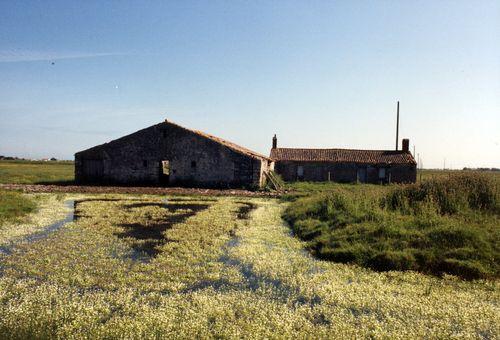 Iconographie - La ferme L'Abbaye