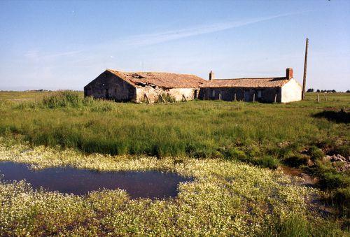 Iconographie - La ferme L'Abbaye