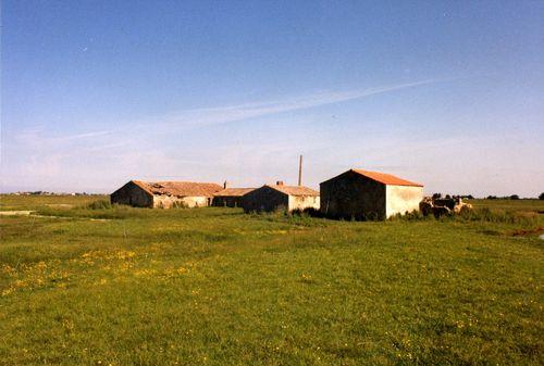 Iconographie - La ferme L'Abbaye