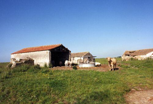 Iconographie - La ferme L'Abbaye