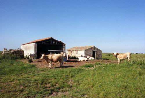 Iconographie - La ferme L'Abbaye