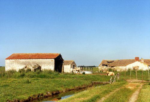 Iconographie - La ferme L'Abbaye