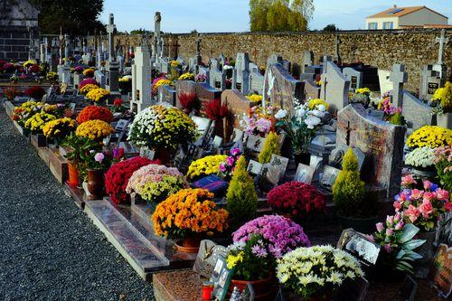 Iconographie - Les tombres du cimetière fleuries pour la Toussaint