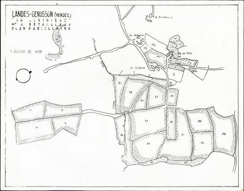 Iconographie - La Lévinière, plan parcellaire, selon Jean Bossu