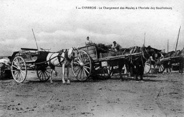 Iconographie - Le chargement des moules à l'arrivée des boucholeurs