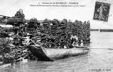 Iconographie - Pêcheurs de moules dans les bouchots