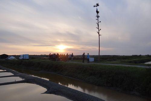 Iconographie - Coucher de soleil sur le marais salant de Yohan Eveno