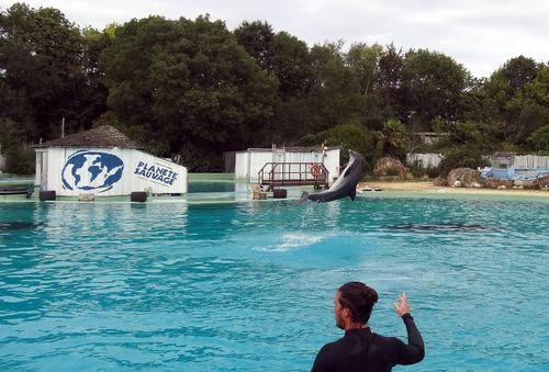 Iconographie - Planète Sauvage - Spectacle de dauphins