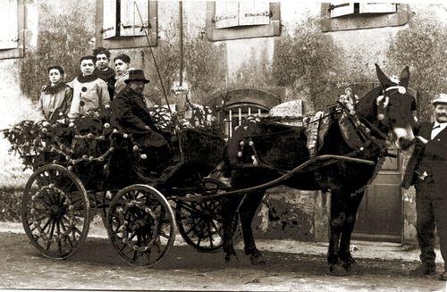 Iconographie - une voiture à cheval fleurie 