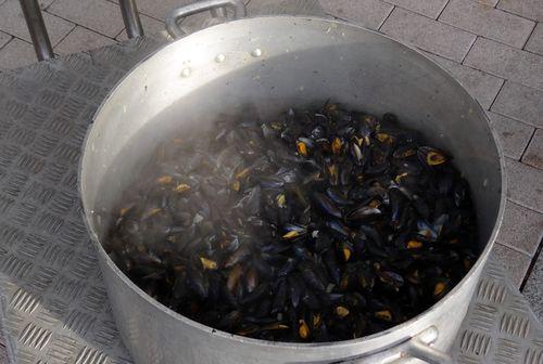 Iconographie - Moules à fête de la Saint-Jean