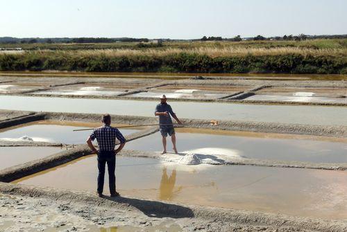 Iconographie - En enquête au marais de Yoann Eveno