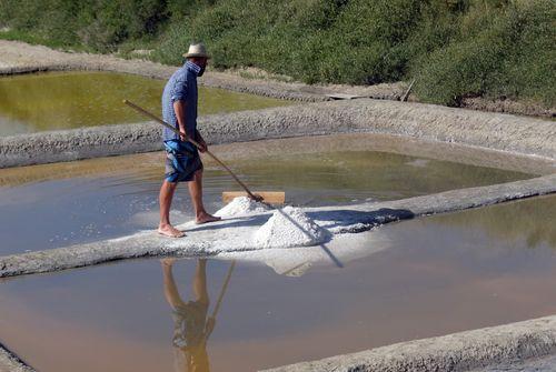 Iconographie - En enquête au marais de Yoann Eveno