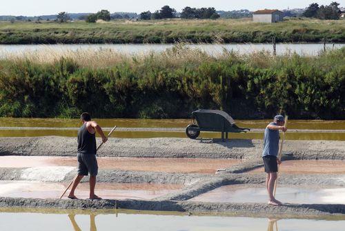 Iconographie - En enquête au marais de Yoann Eveno